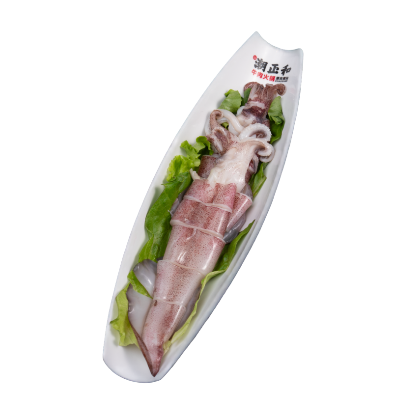 MỰC TƯƠI 鱿鱼